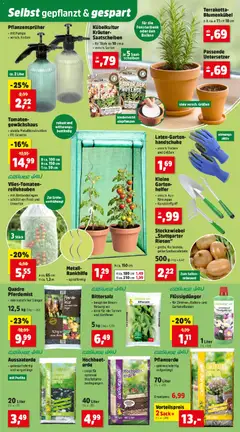 Thomas Philipps Flugblatt ab 02.02.2026 gültig | Seite: 5