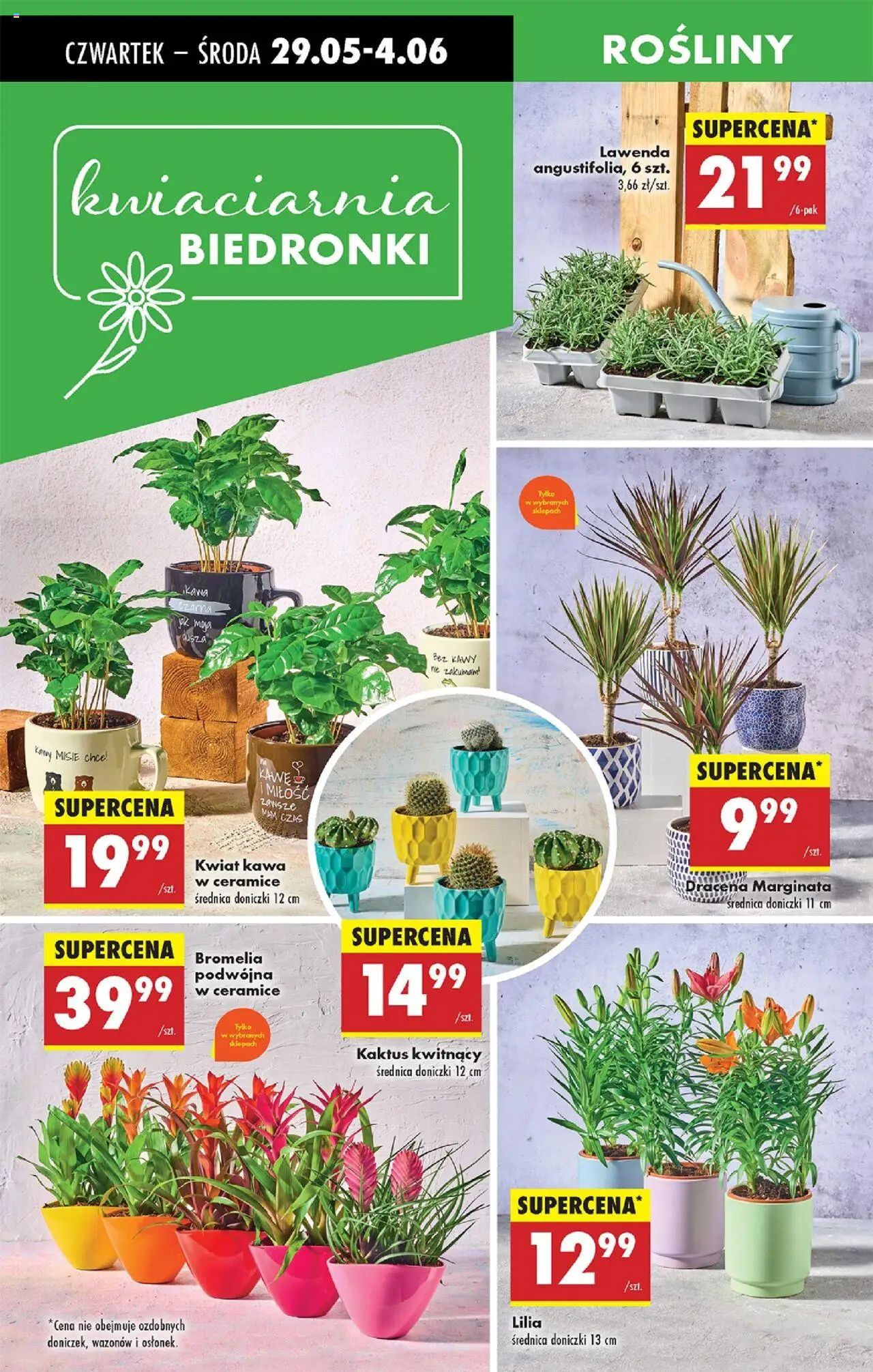 Biedronka gazetka - Oferta W tym tygodniu od 29.05.2025 | Strona: 69 | Produkty: Rosliny, Doniczki, Kawa