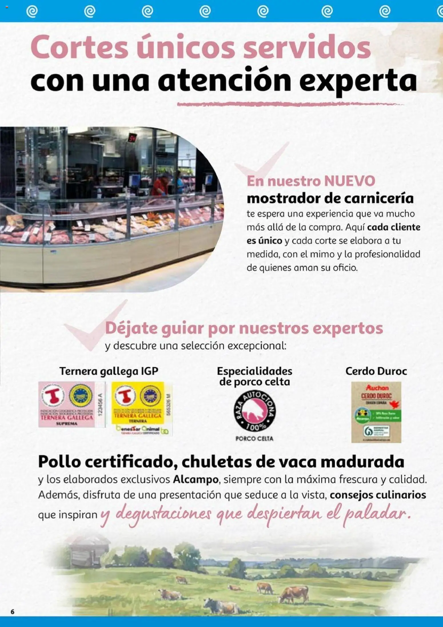 Alcampo - Reapertura Vigo  │ válido desde el 13.11.2025 | Página: 6 | Productos: Cerdo, Té