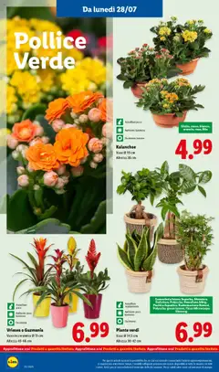 Volantino Lidl del 28.07.2025 | Pagina: 32 | Prodotti: Vaso