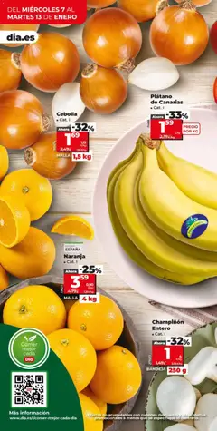 Vista previa Cebolla, Cat. I, Malla 1,5 kg válido desde el 07.01.2026 | Página: 4 | Productos: Παγωμένο τσάι, Bandeja