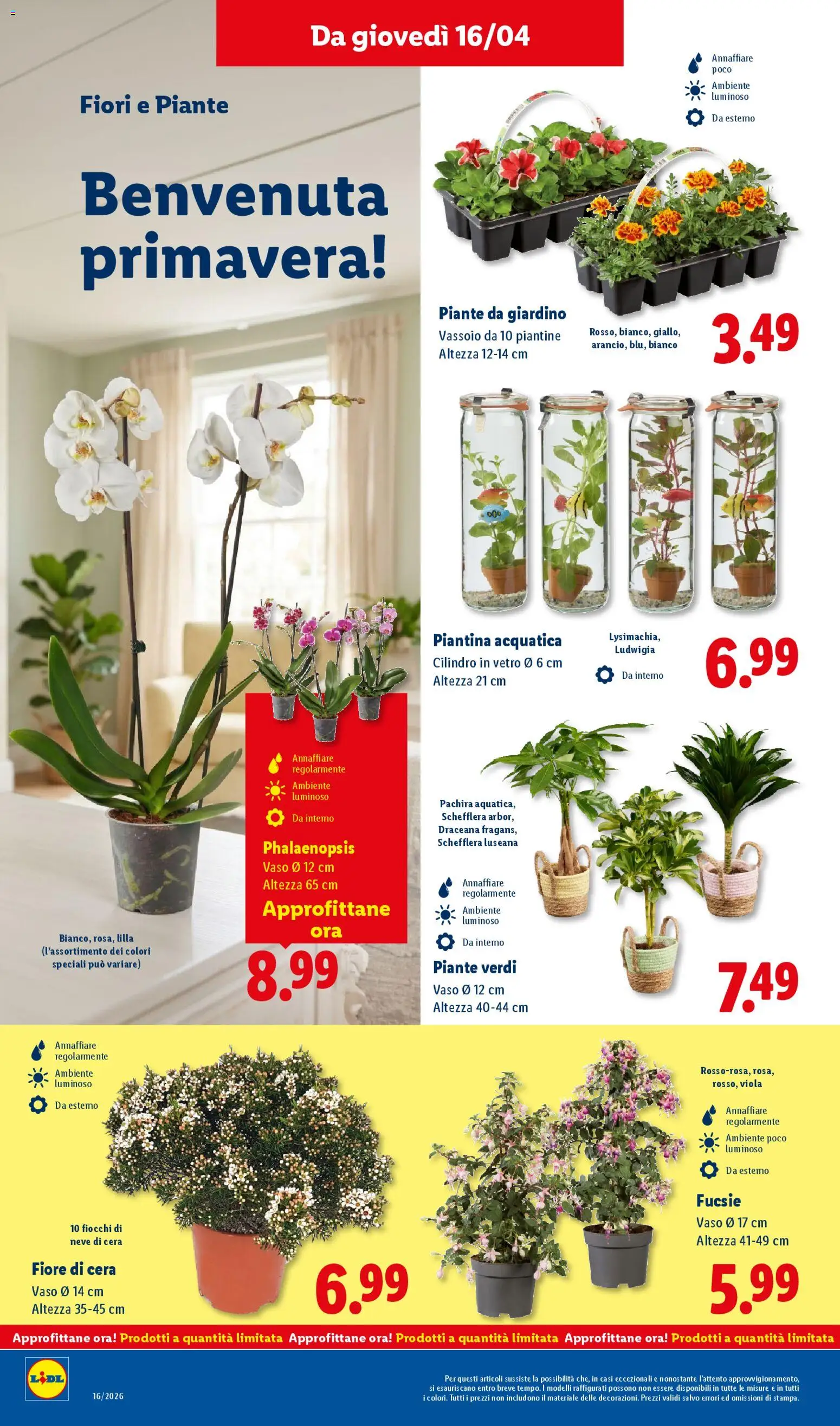 Volantino Lidl del 16.04.2026 | Pagina: 26 | Prodotti: Fiocchi, Vassoio, Vaso