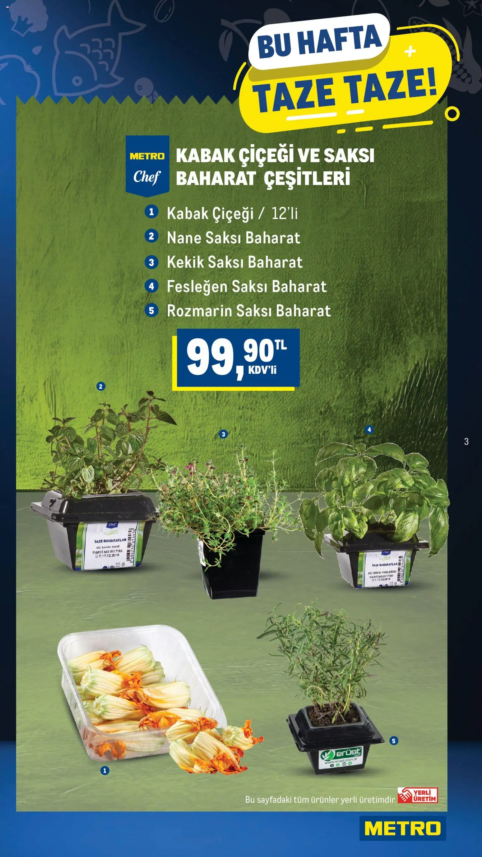Metro Katalog - 22.04.2026 tarihinden itibaren geçerlidir | Sayfa: 3 | Ürünler: Fesleğen, Saksı, Kabak, Baharat