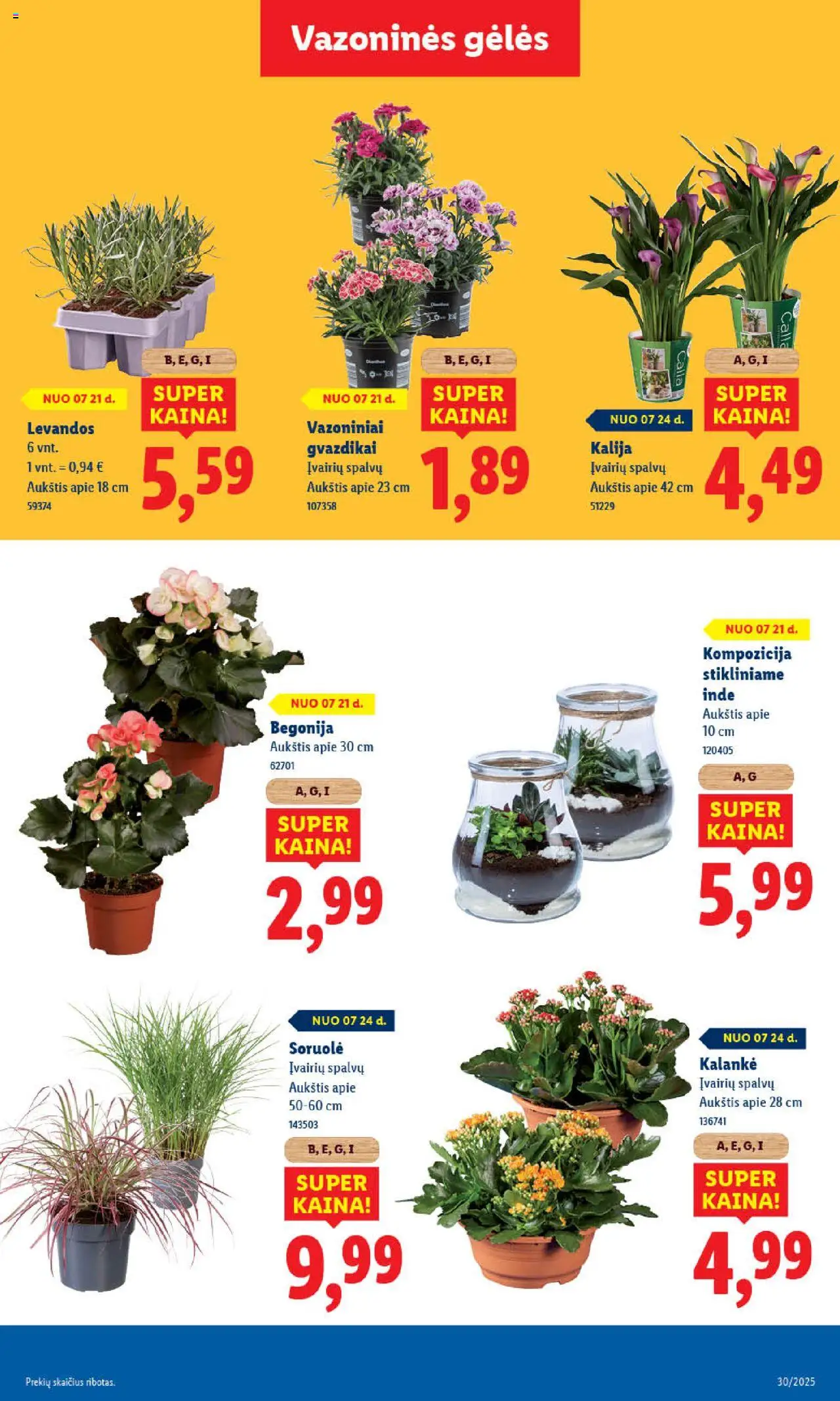 LIDL - Leidinys│galioja nuo 24.07.2025 | Puslapis: 49