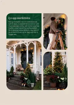 Forhåndsvisning av Plantasjen kundeavis gyldig fra 02.12.2025 | Side: 7