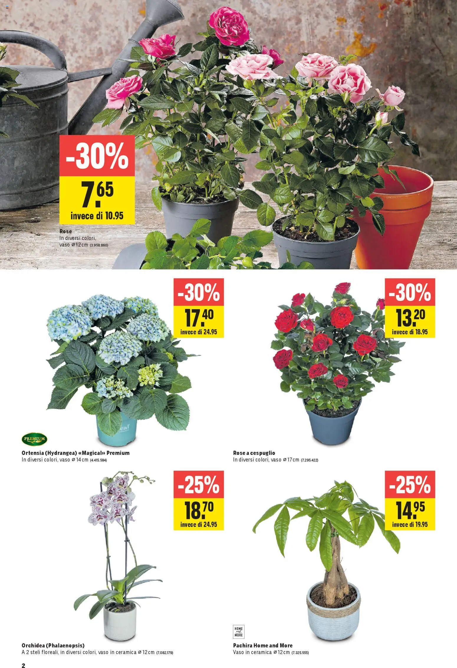 Jumbo aktionen IT – gültig ab 09.04.2026 | Seite: 2