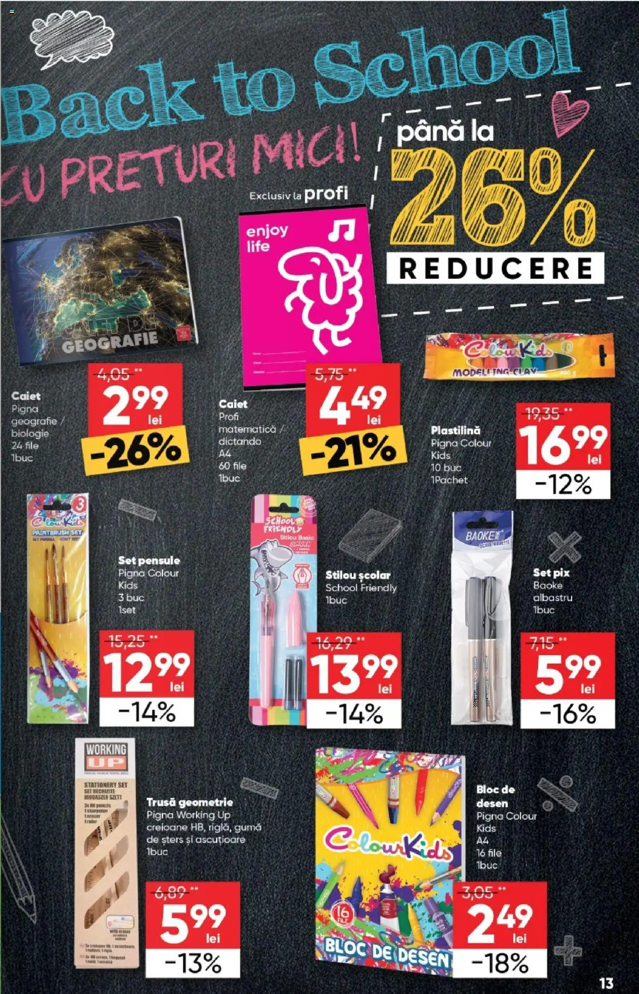 Catalog Profi  – valabil de la 20.08.2025 | Pagină: 13