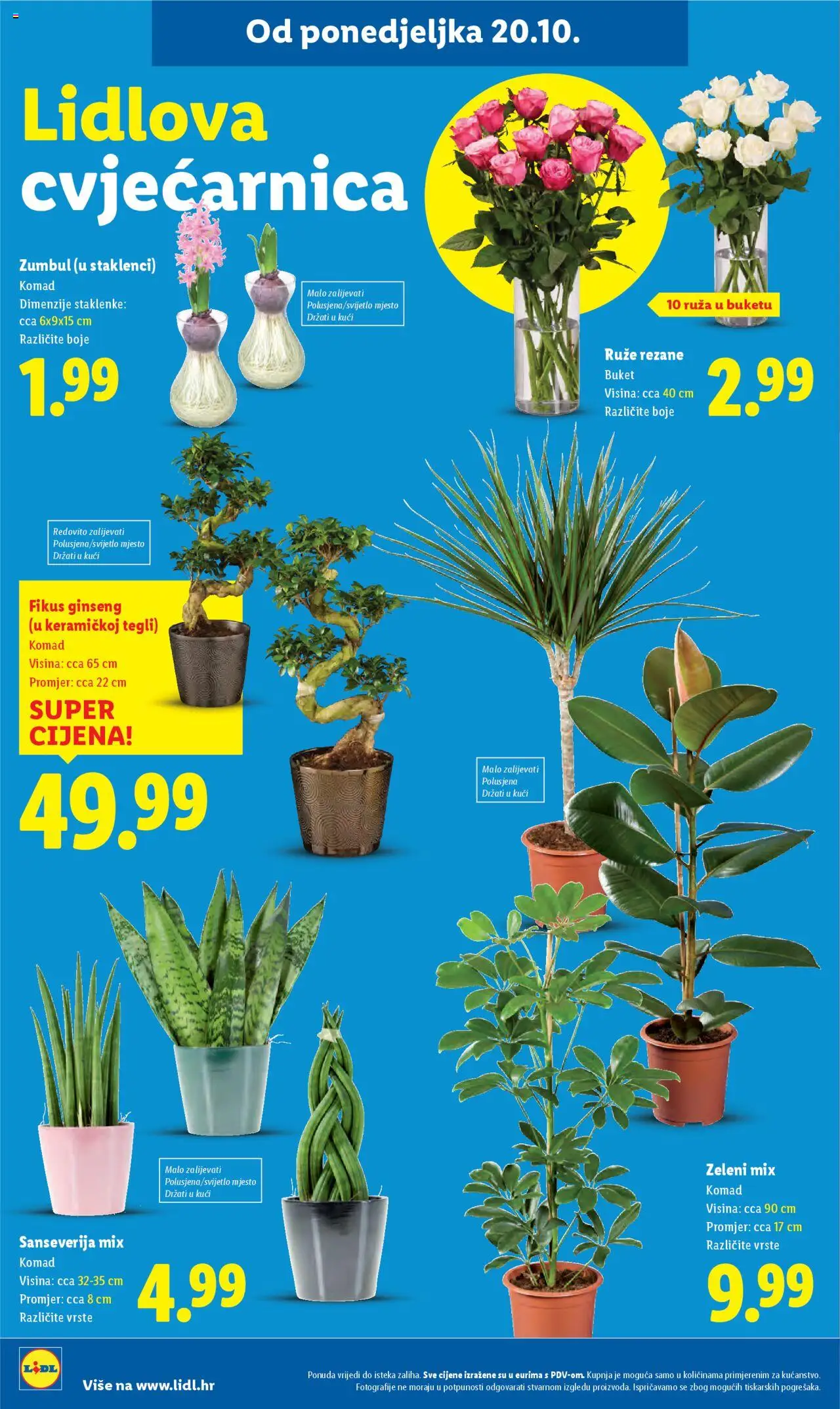 Lidl katalog | vrijedi od 20.10.2025 | Stranica: 60