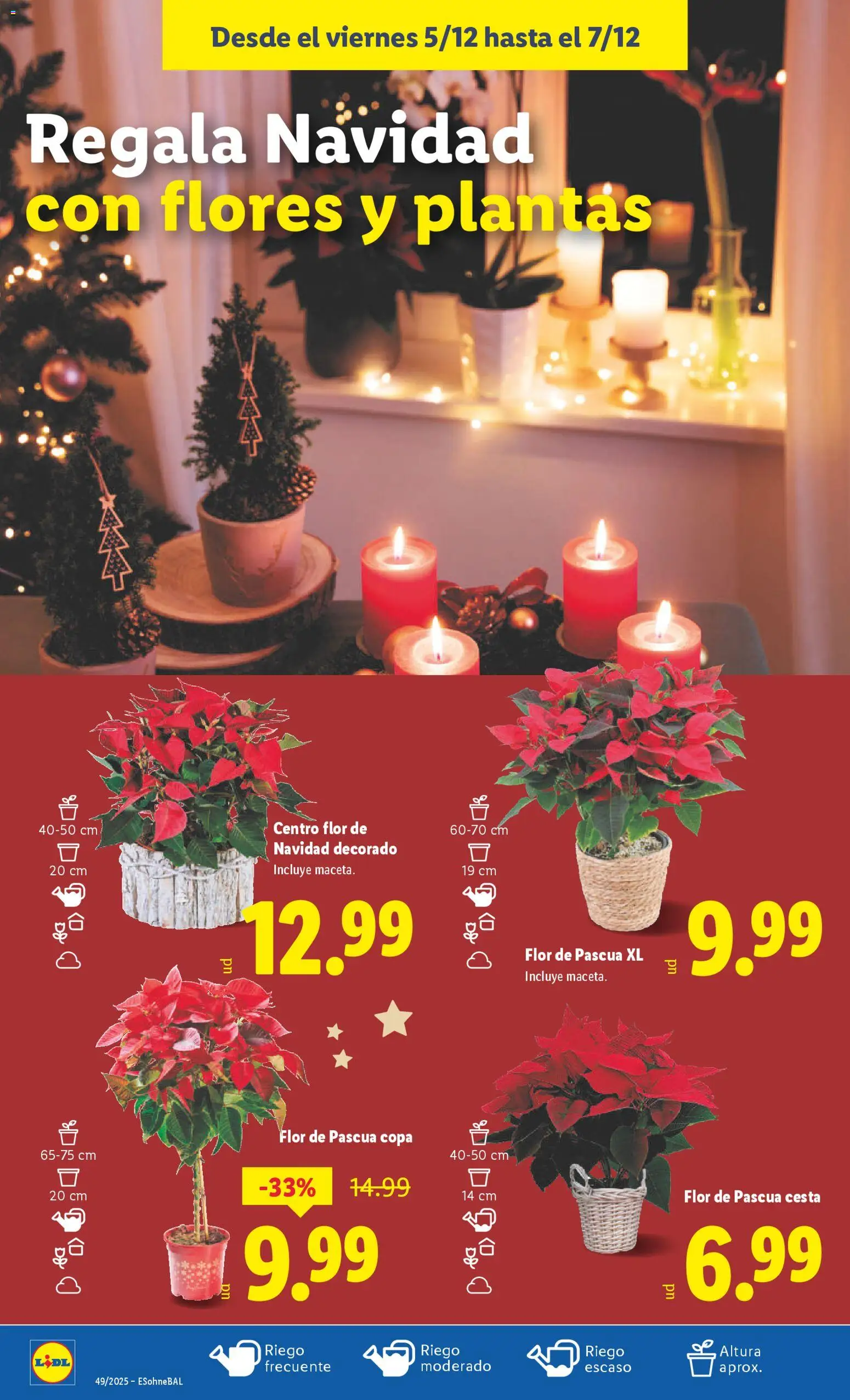 Lidl folleto │ válido desde el 01.12.2025 | Página: 52 | Productos: Cesta