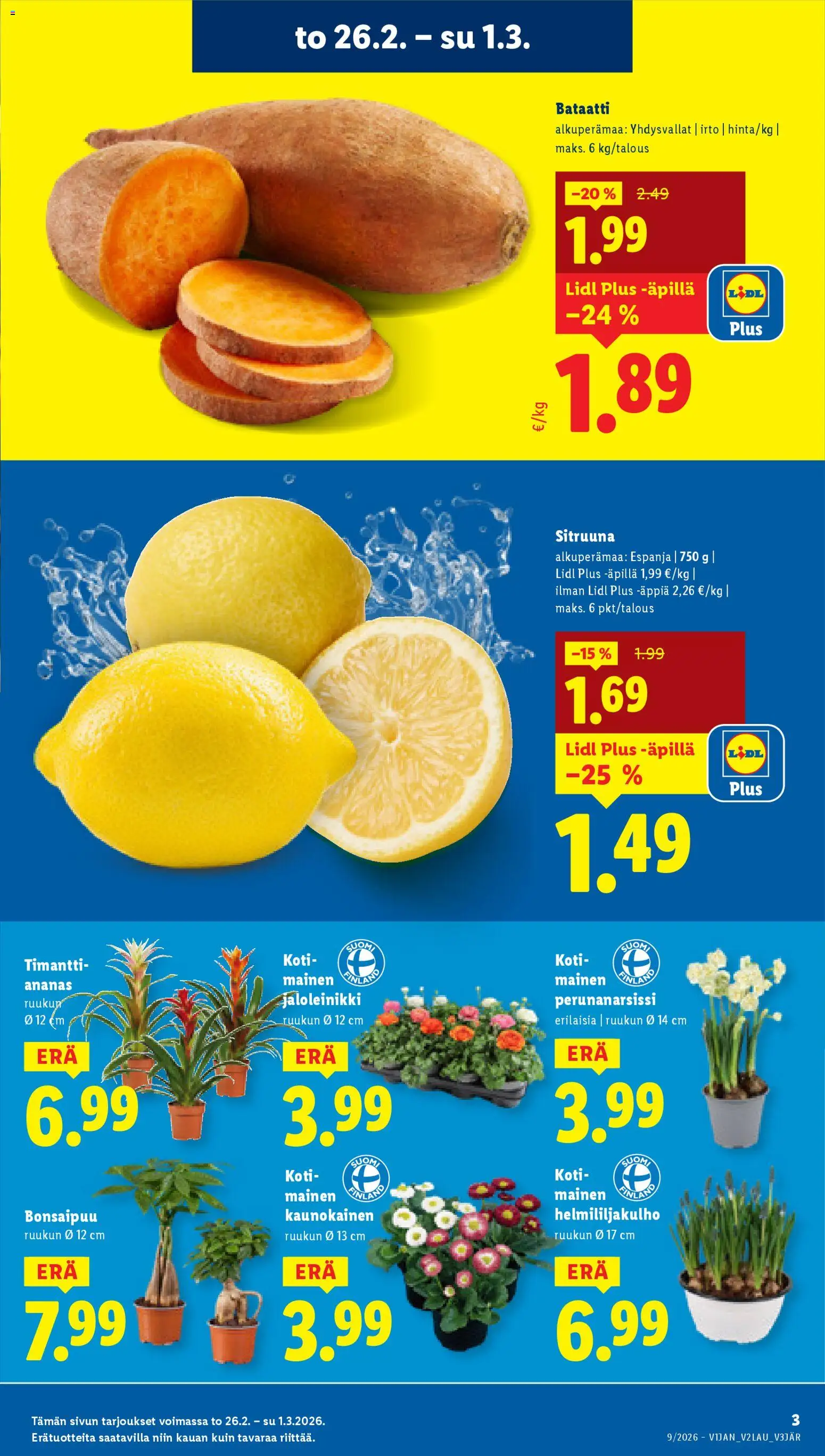 Lidl tarjoukset - Rovaniemi – voimassa 26.02.2026 alkaen | Sivu: 3 | Tuotteet: Bataatti, Ananas