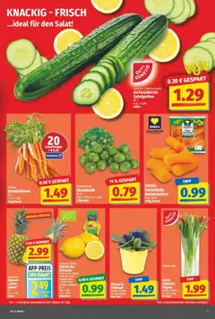 NP Discount Prospekt ab 25.01.2026 gültig | Seite: 3