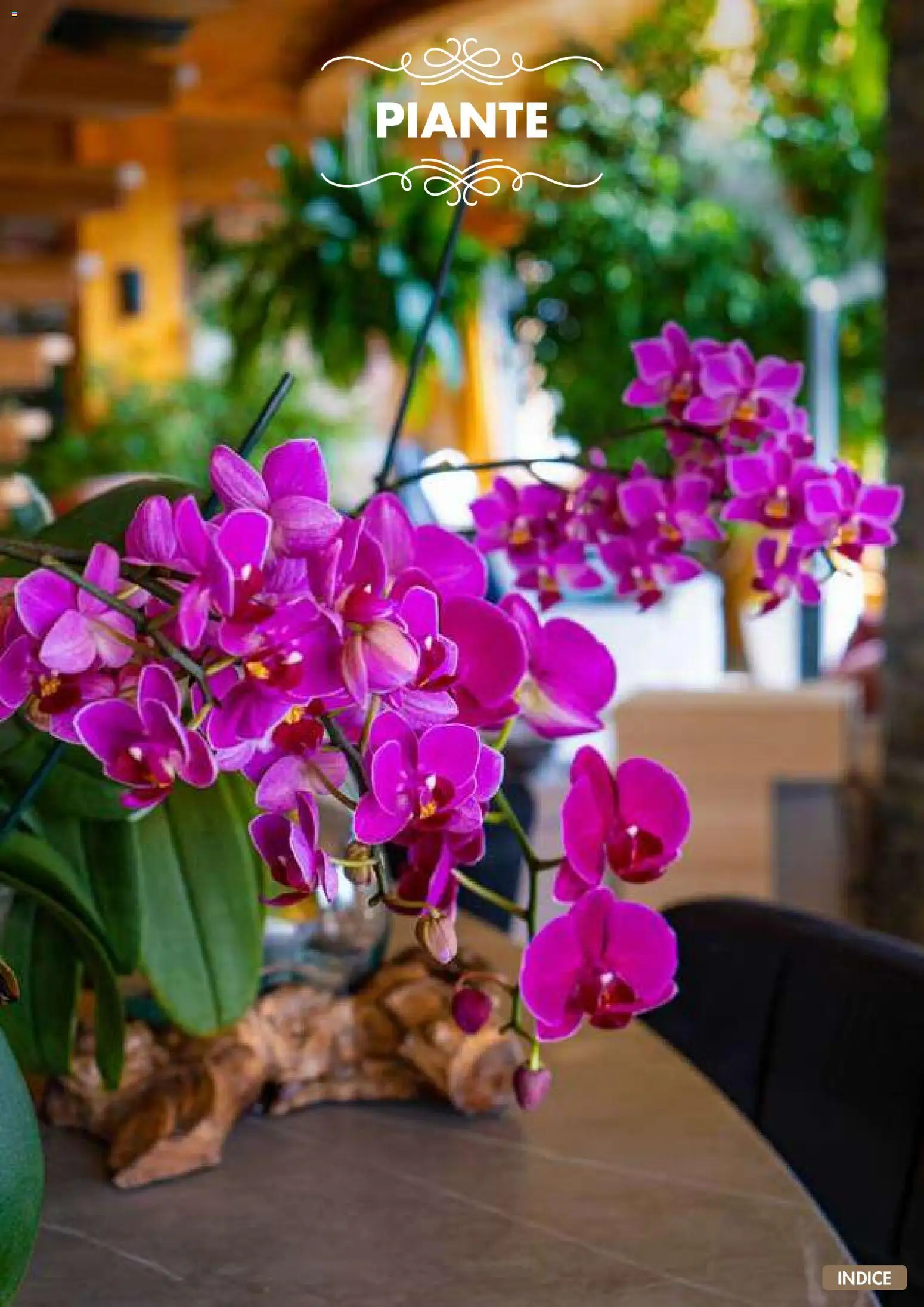 Volantino Italmark del 10.11.2025 | Pagina: 56