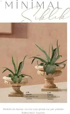 01.01.2026 tarihinden itibaren geçerli olan Mudo kataloğu önizlemesi | Sayfa: 17