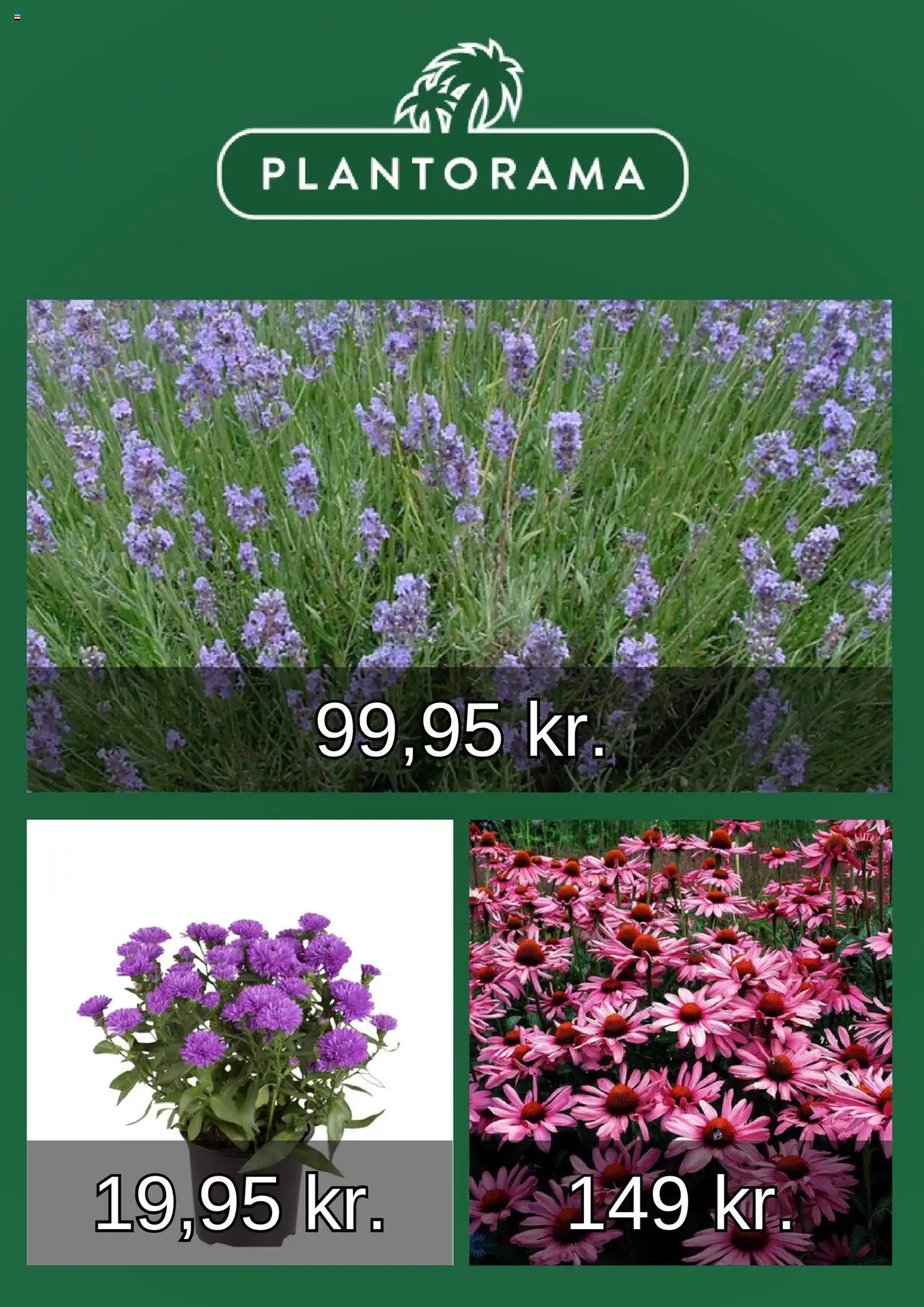 Plantorama tilbudsavis – gyldig fra 15.09.2025 | Side: 2