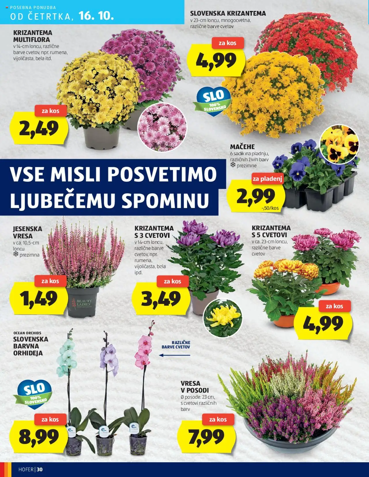 Novi Hofer katalog ponudbe – veljaven od 09.10.2025 | Stran: 30 | Izdelki: Kos