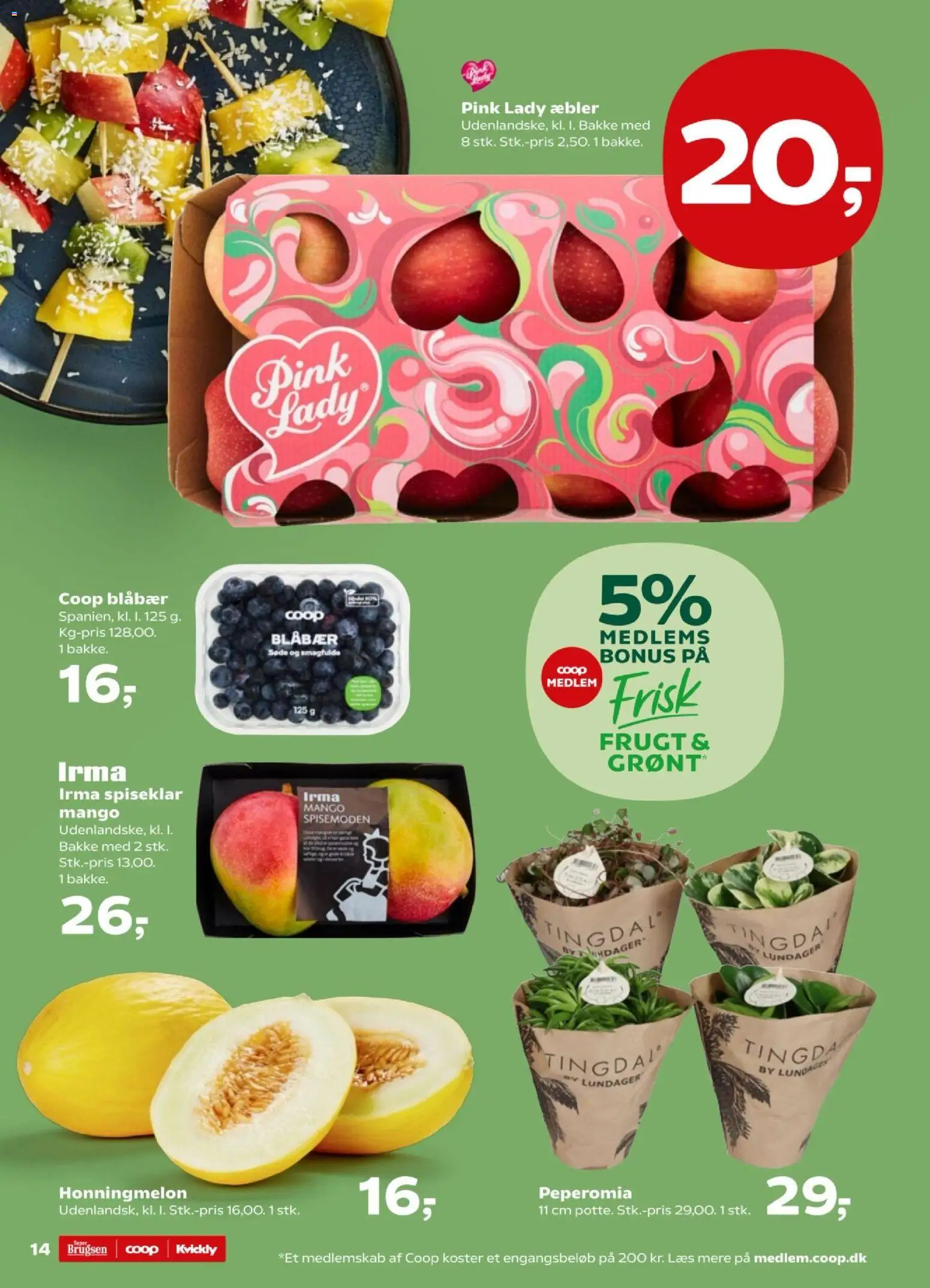 Kvickly tilbudsavis – gyldig fra 13.03.2026 | Side: 14 | Produkter: Blåbær, Mango, Æbler, Honningmelon