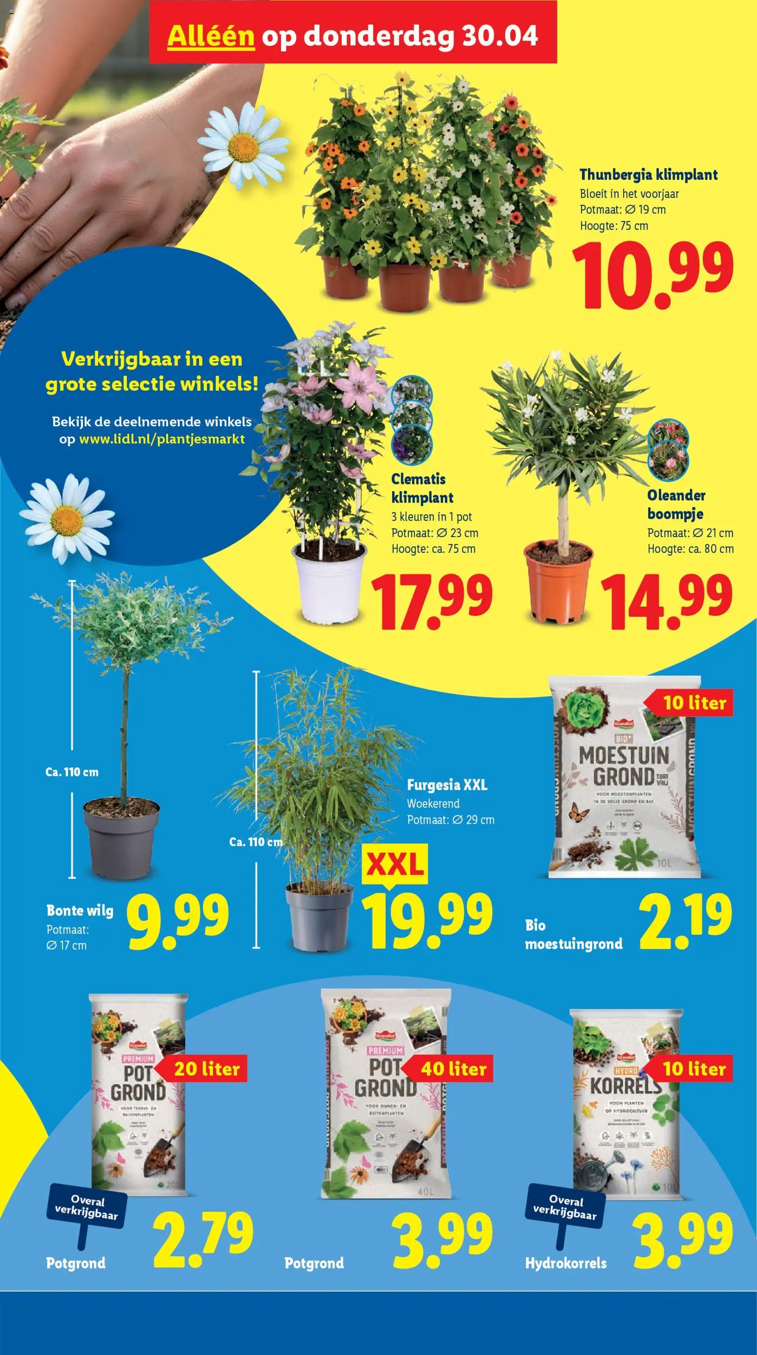 {H1} | Pagina: 27 | Producten: Overal, Pot