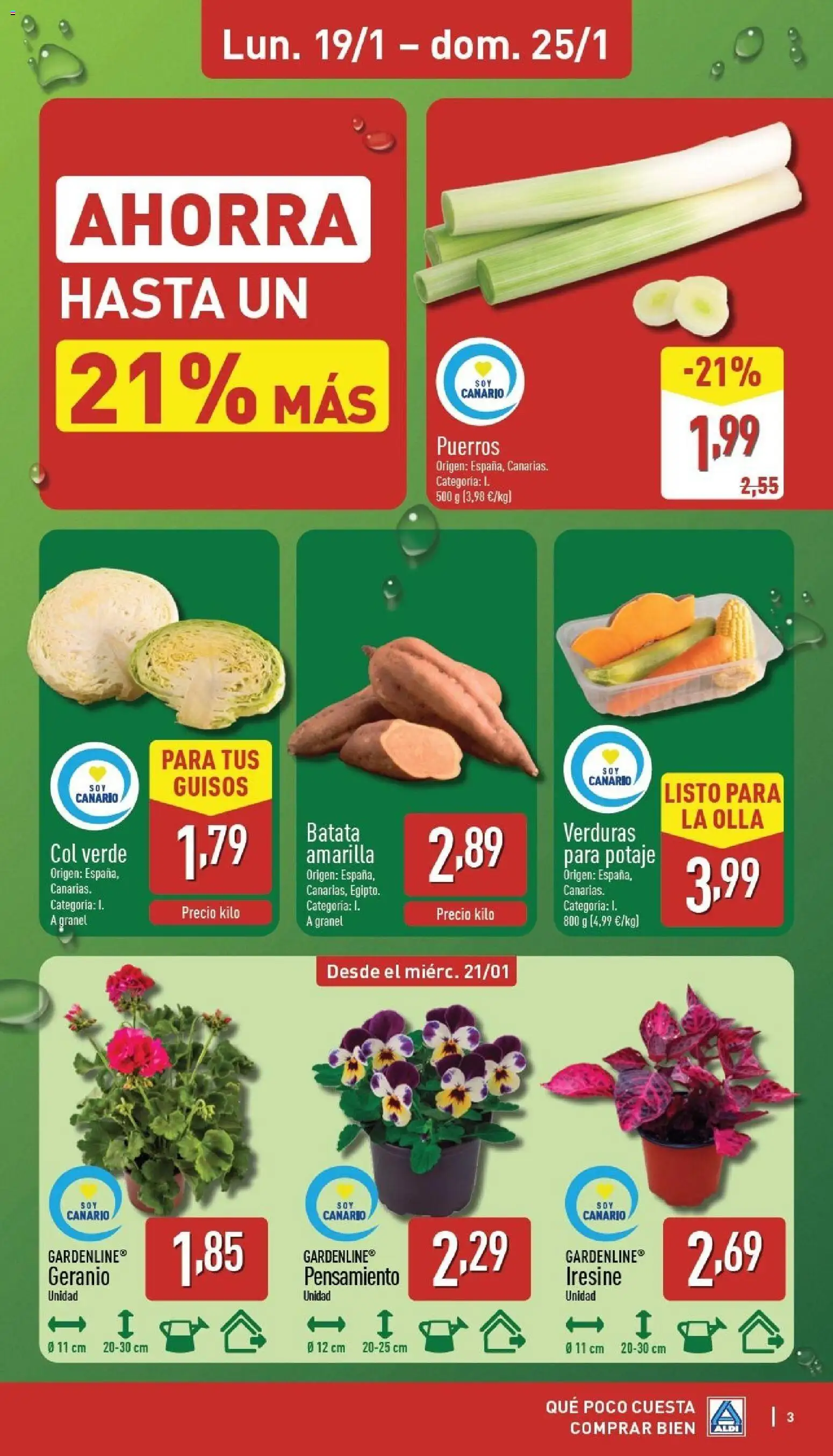 Aldi folleto Canarias │ válido desde el 19.01.2026 | Página: 3 | Productos: Σφουγγαρίστρα