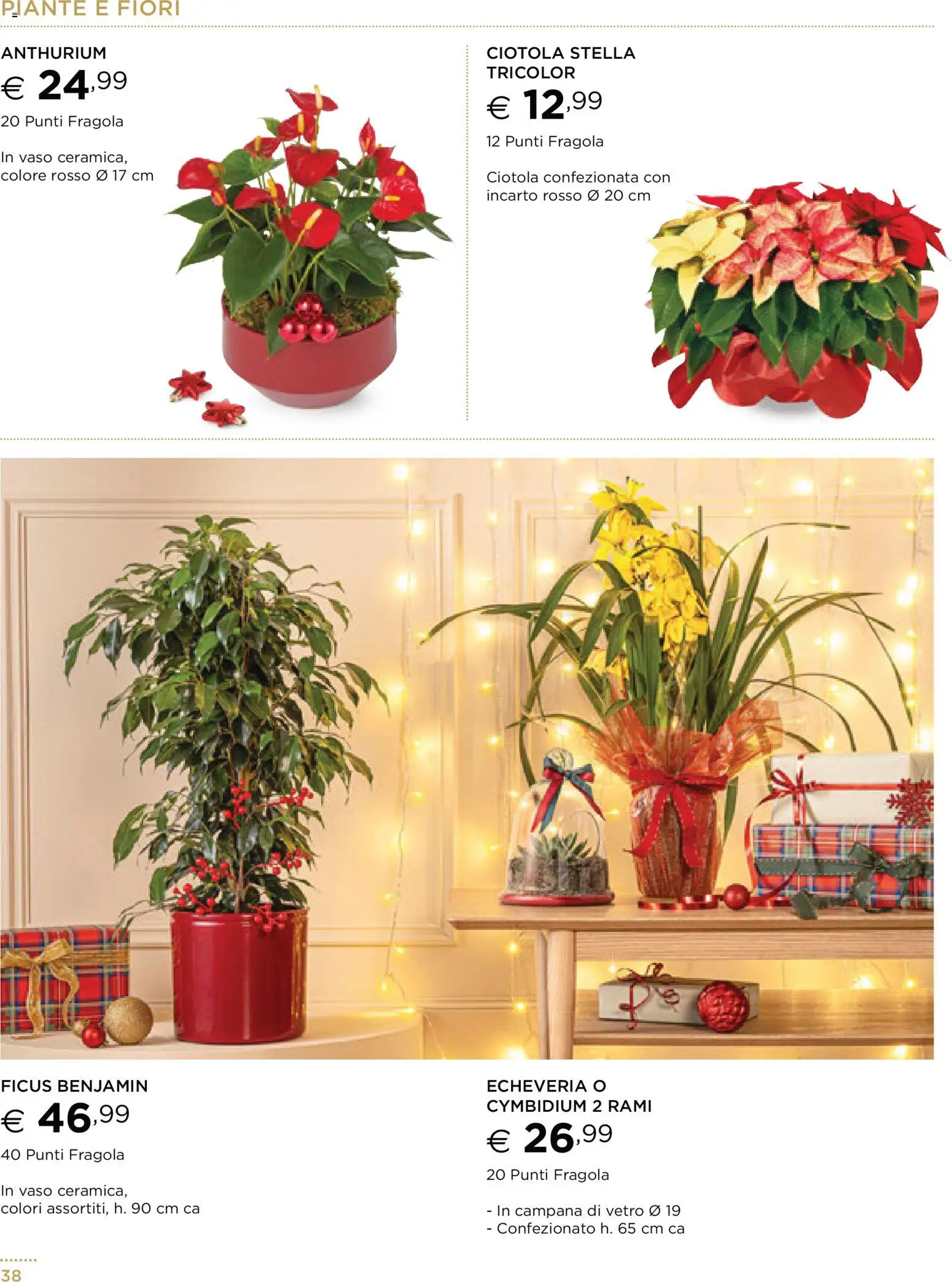 Volantino Esselunga S del 13.11.2025 | Pagina: 38 | Prodotti: Ciotola, Vaso