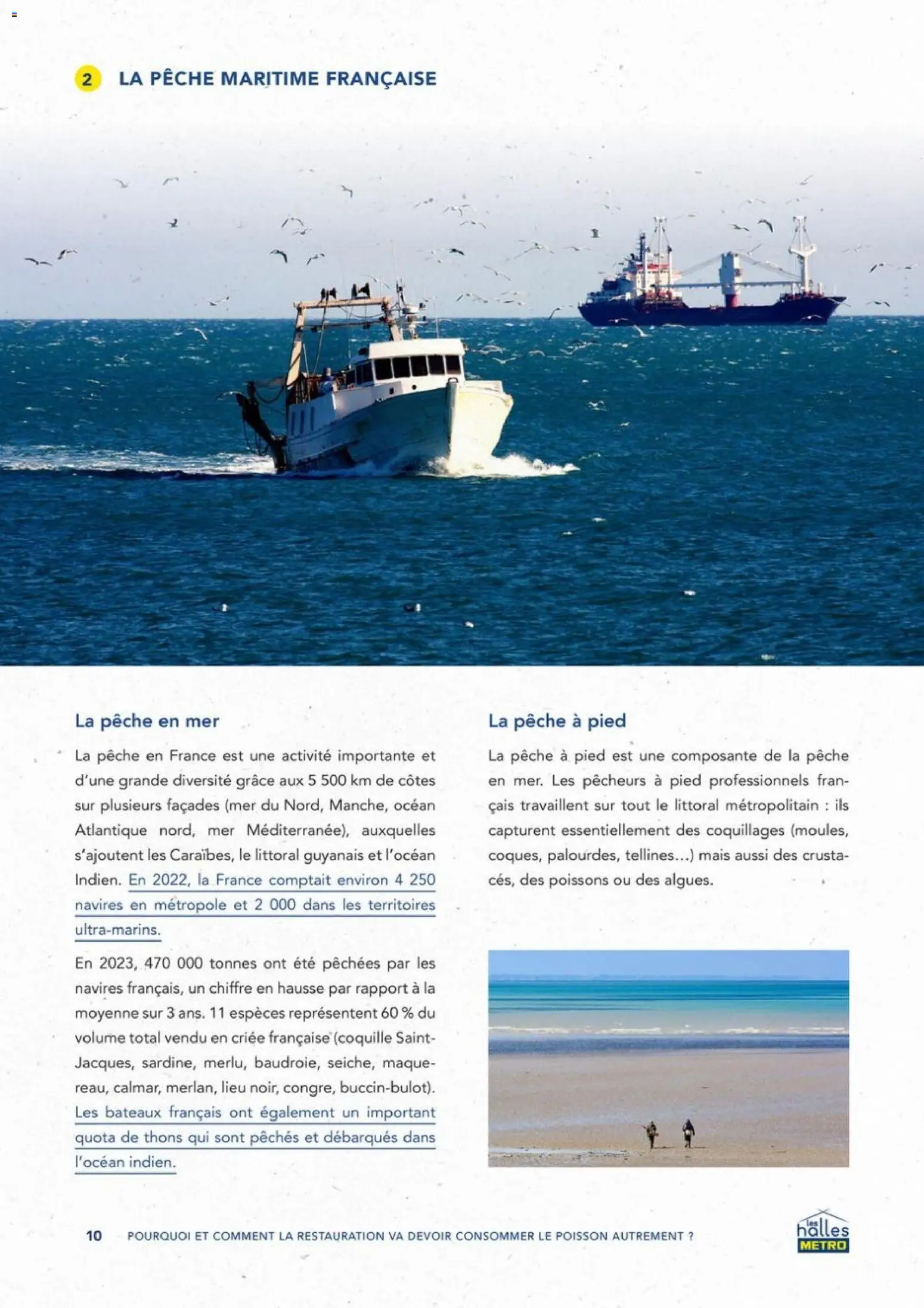 {H1} | Page: 10 | Produits: Pêche, Mais, Poisson