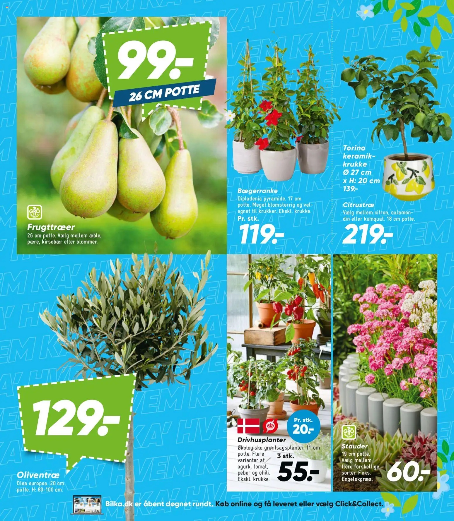 Bilka tilbudsavis – gyldig fra 24.04.2026 | Side: 9 | Produkter: Kirsebær, Peber, Krukke