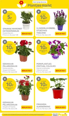 Praxis folder - Voorbeeld van een folder van Praxis, geldig van 30.03.2026 | Pagina: 26 | Producten: Kom