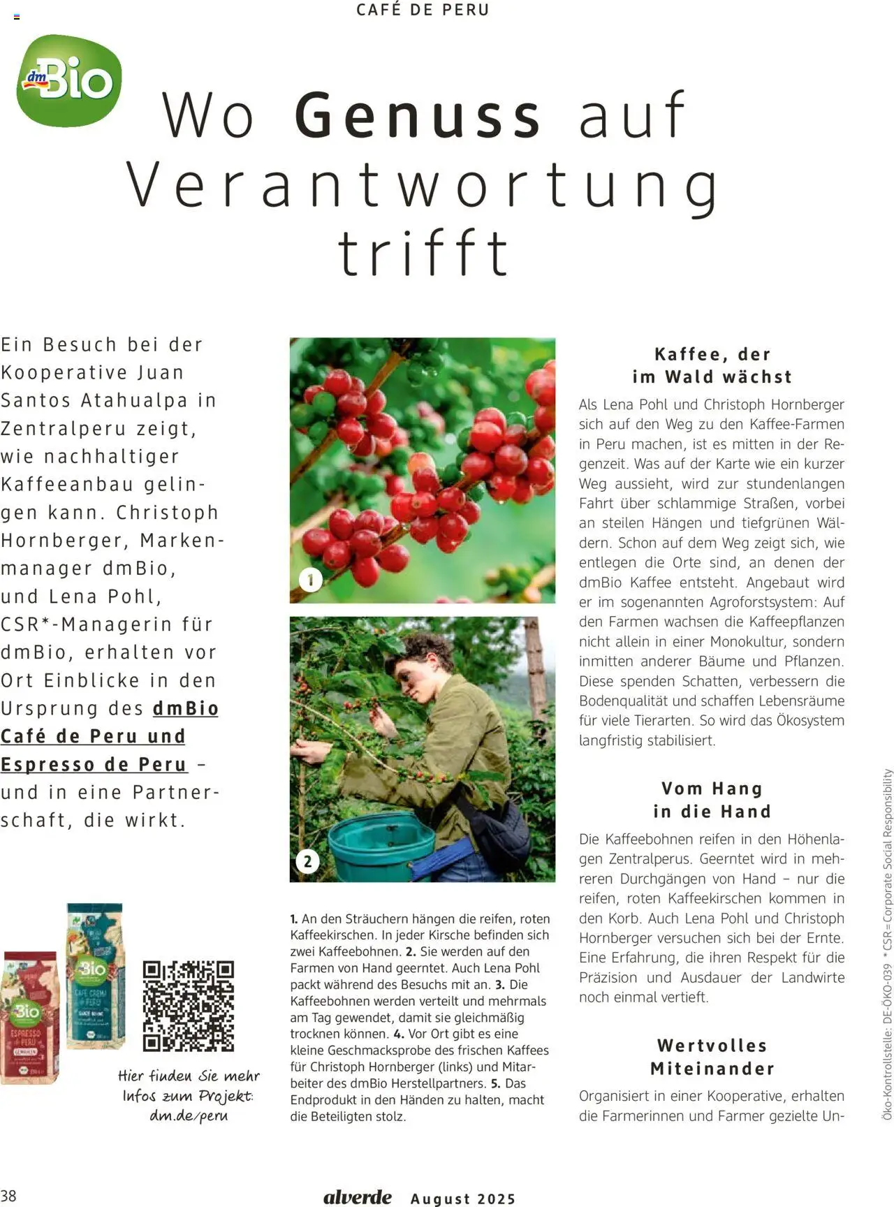 dm drogerie Prospekt 	 - gültig ab dem 01.08.2025 | Seite: 38 | Produkte: Kaffee