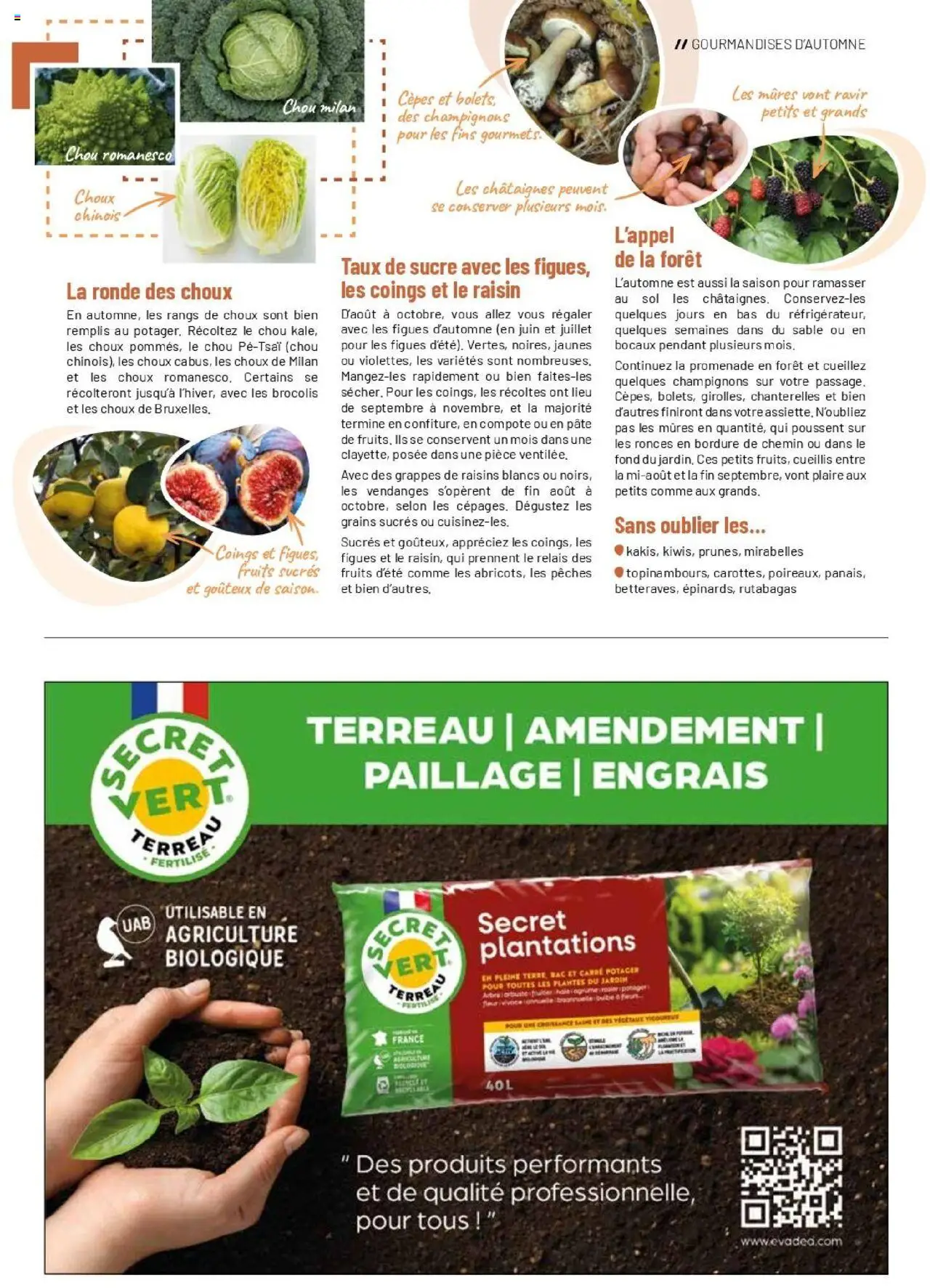 {H1} | Page: 15 | Produits: Sucre, Raisin, Plantes, Terreau