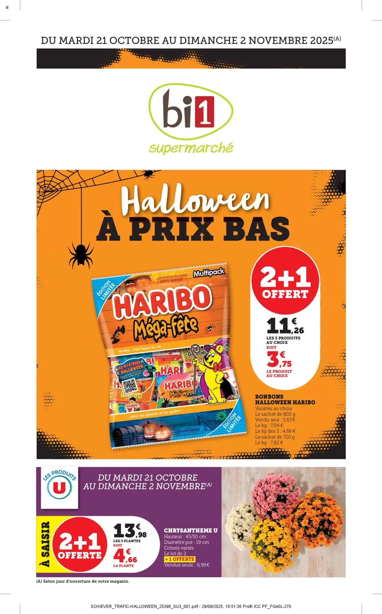 {H1} | Page: 1 | Produits: Plantes, Chrysanthème, Bonbons halloween, Bonbons