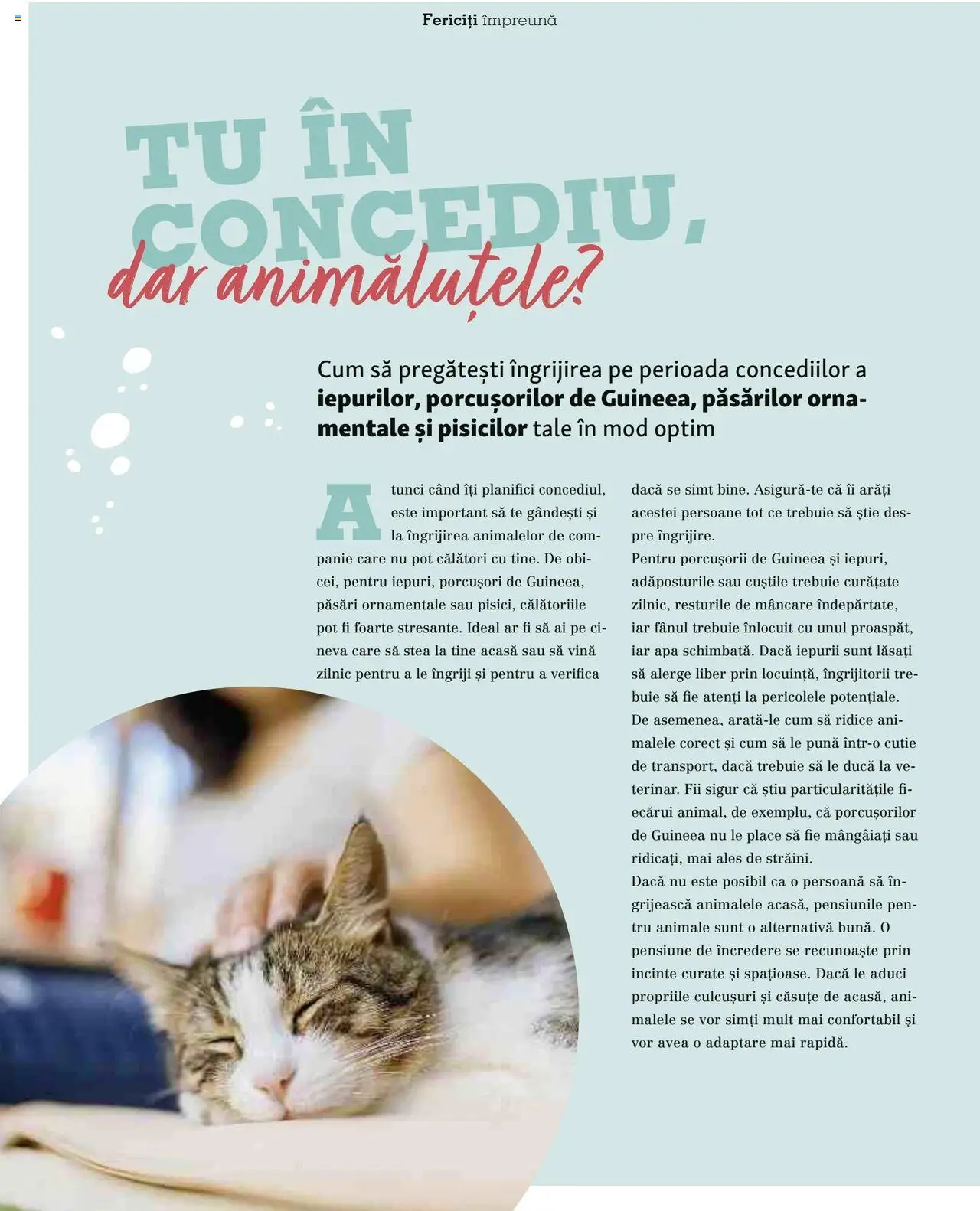 Catalog Fressnapf - Vară – valabil de la 05.05.2025 | Pagină: 40 | Produse: Cutie, Apă