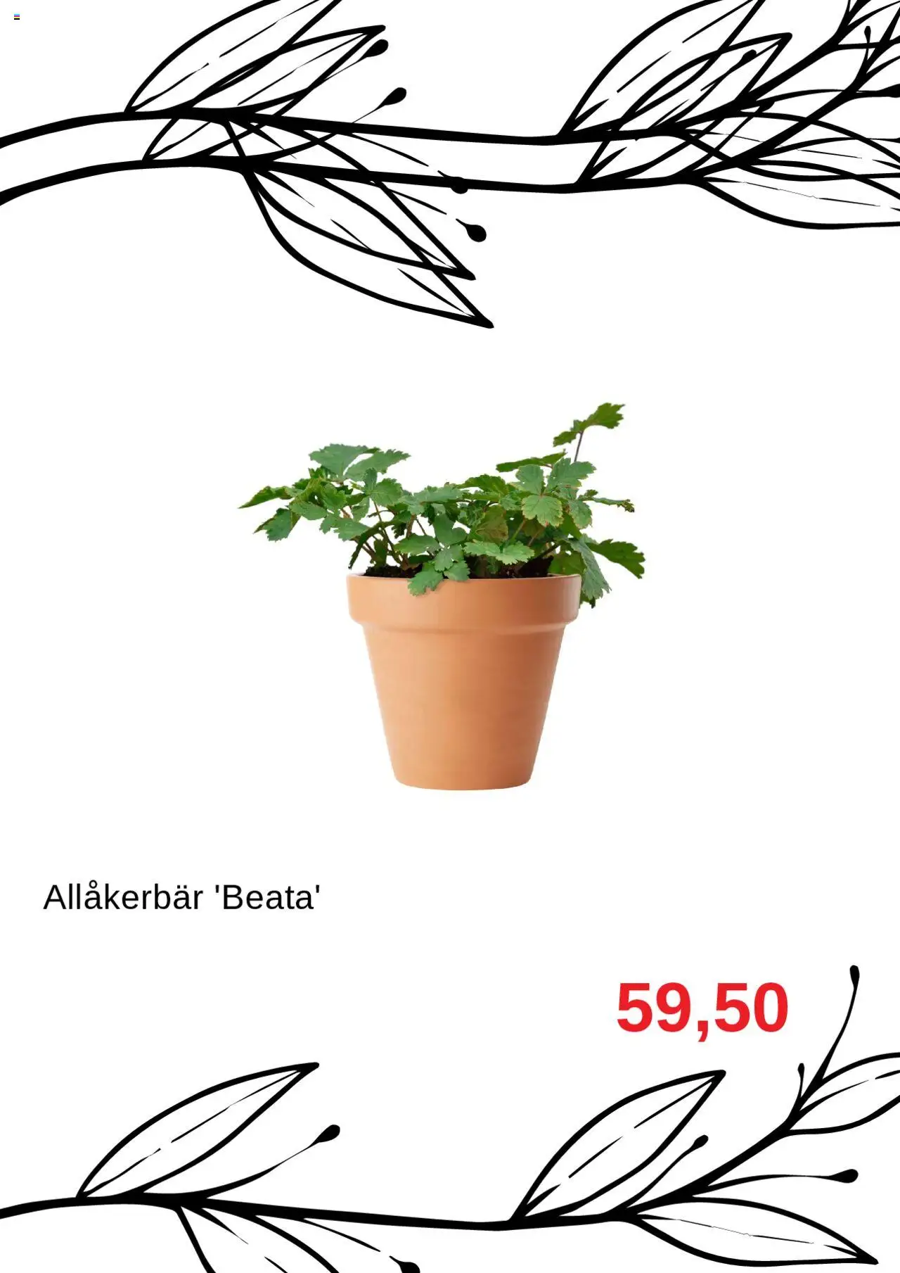 Blomsterlandet reklamblad aktuell från 01.10.2025 | Sida: 4