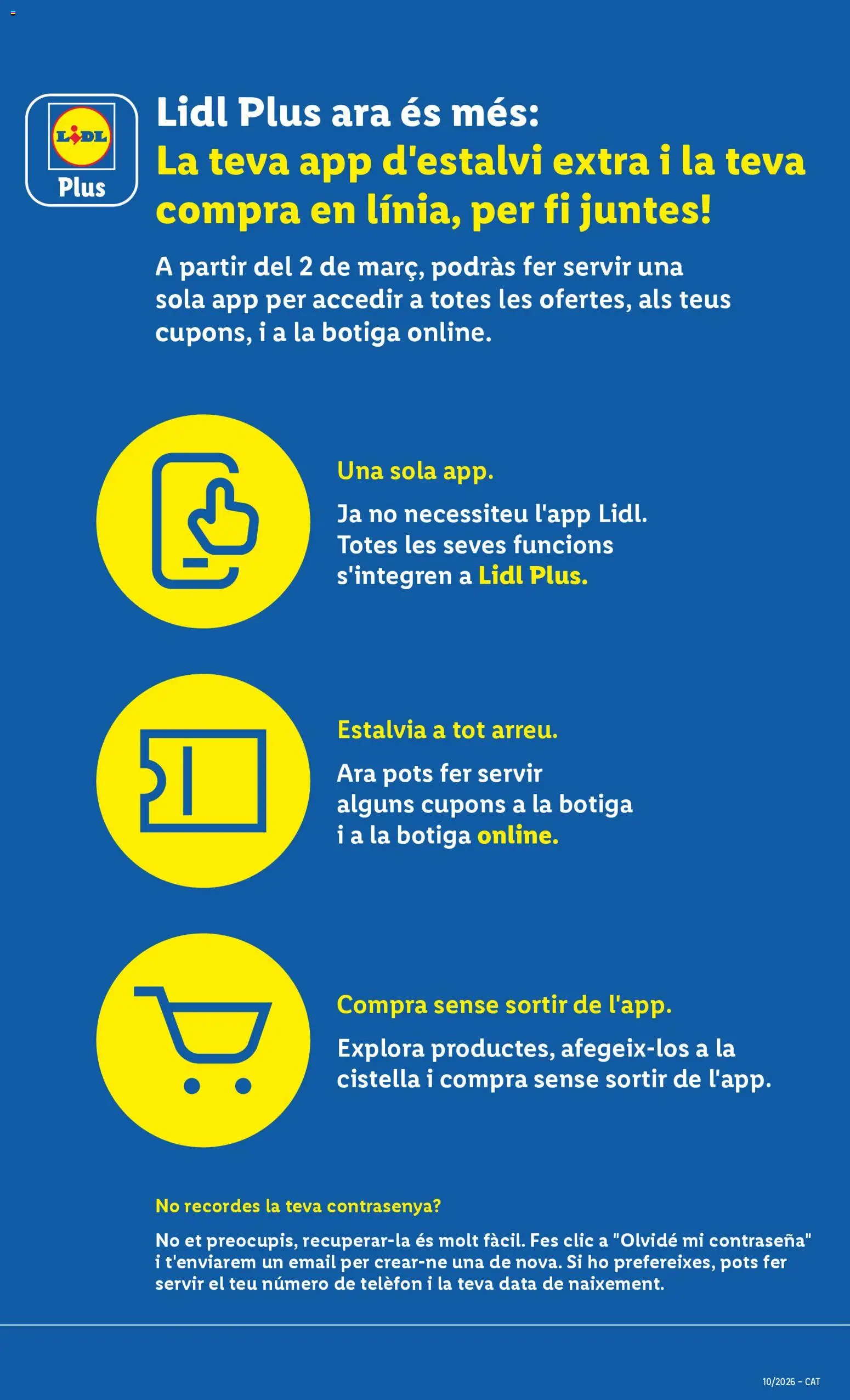 Lidl folleto │ válido desde el 02.03.2026 | Página: 31