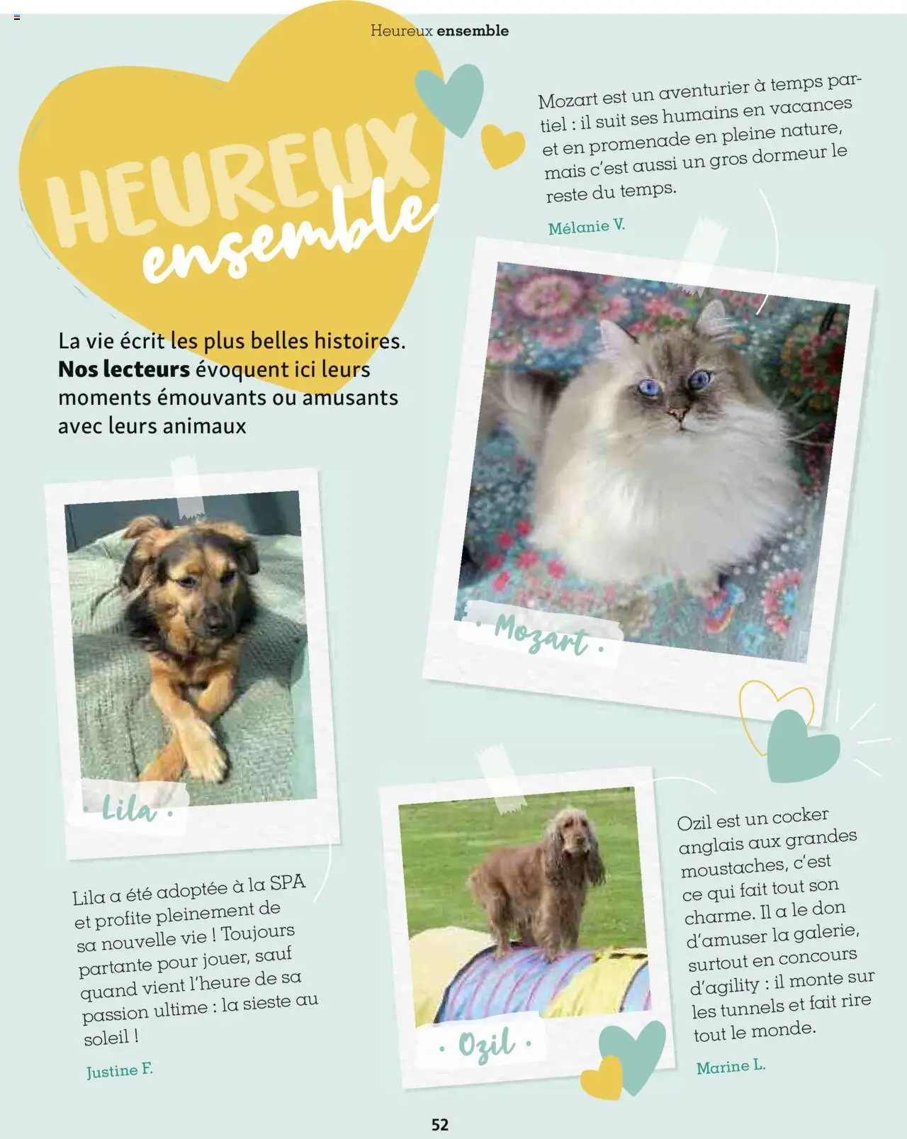  | Page: 52 | Produits: Mais