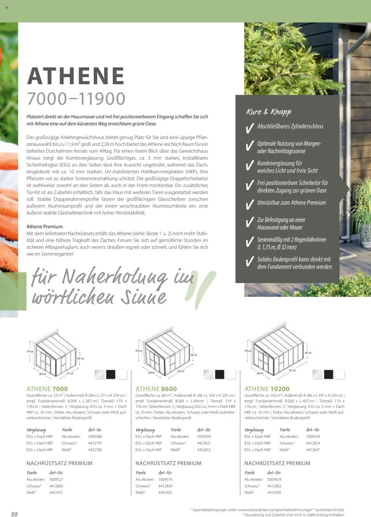 Dehner EPH – Gärtnern & Leben gültig ab 30.12.2024 | Seite: 50