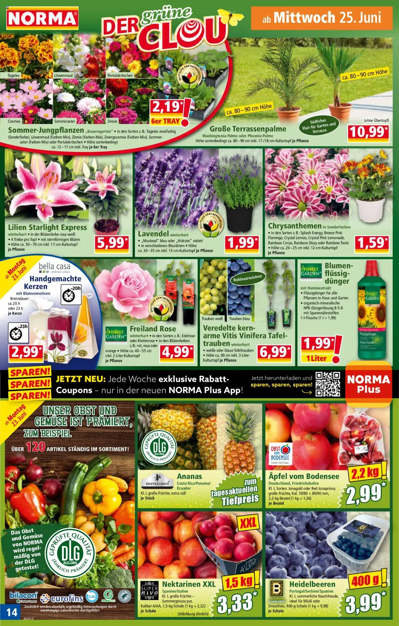 Norma Prospekt 	 - gültig ab dem 23.06.2025 | Seite: 15 | Produkte: Nektarinen, Blumen, Ananas, Gemüse