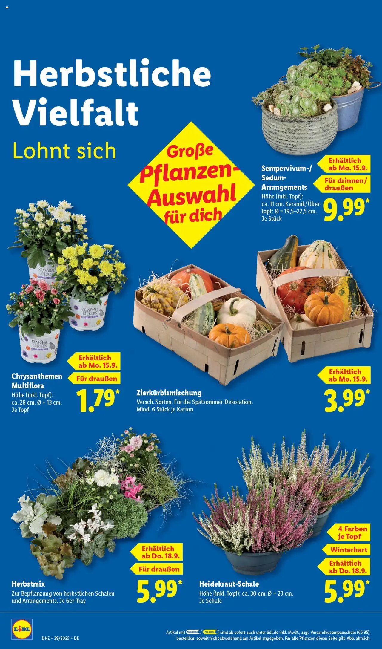 Lidl Prospekt 	 – gültig ab 15.09.2025 | Seite: 24
