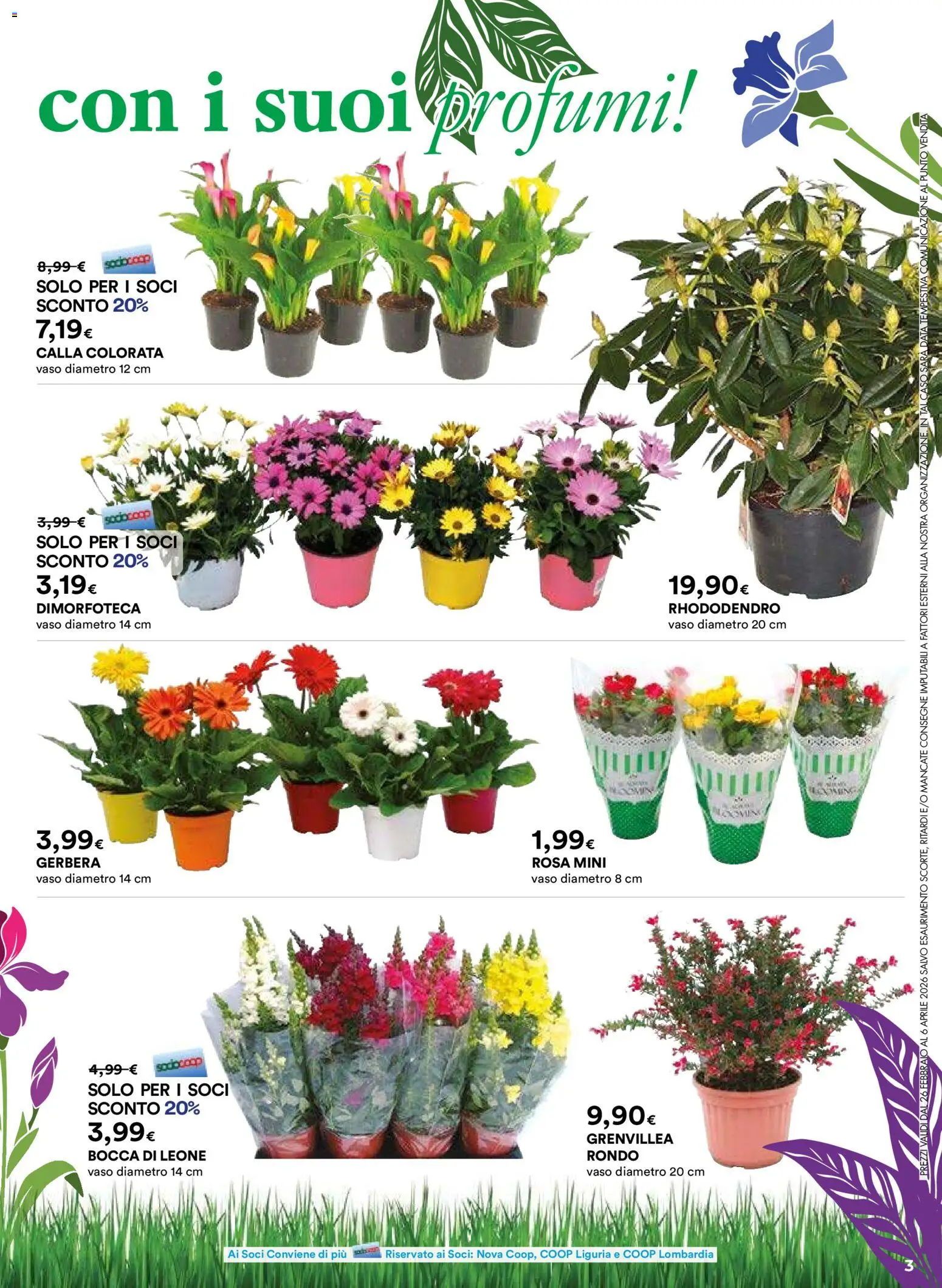 Volantino Ipercoop del 26.02.2026 | Pagina: 3 | Prodotti: Data, Vaso
