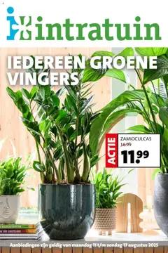 Intratuin - Folder - Voorbeeld van een folder van Intratuin, geldig van 11.08.2025