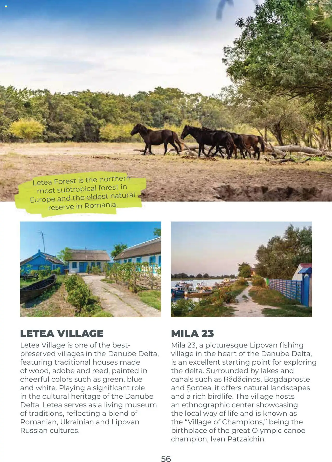 Noul catalog Metro – valabil de la 23.09.2025 | Pagină: 56 | Produse: Role