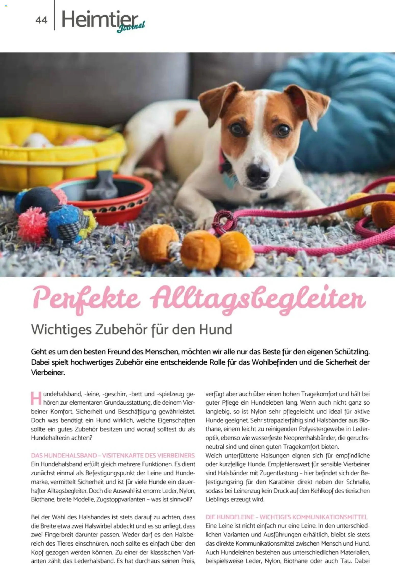 zookauf  Heimtier Journal – gültig ab 01.02.2026 | Seite: 44 | Produkte: Bett