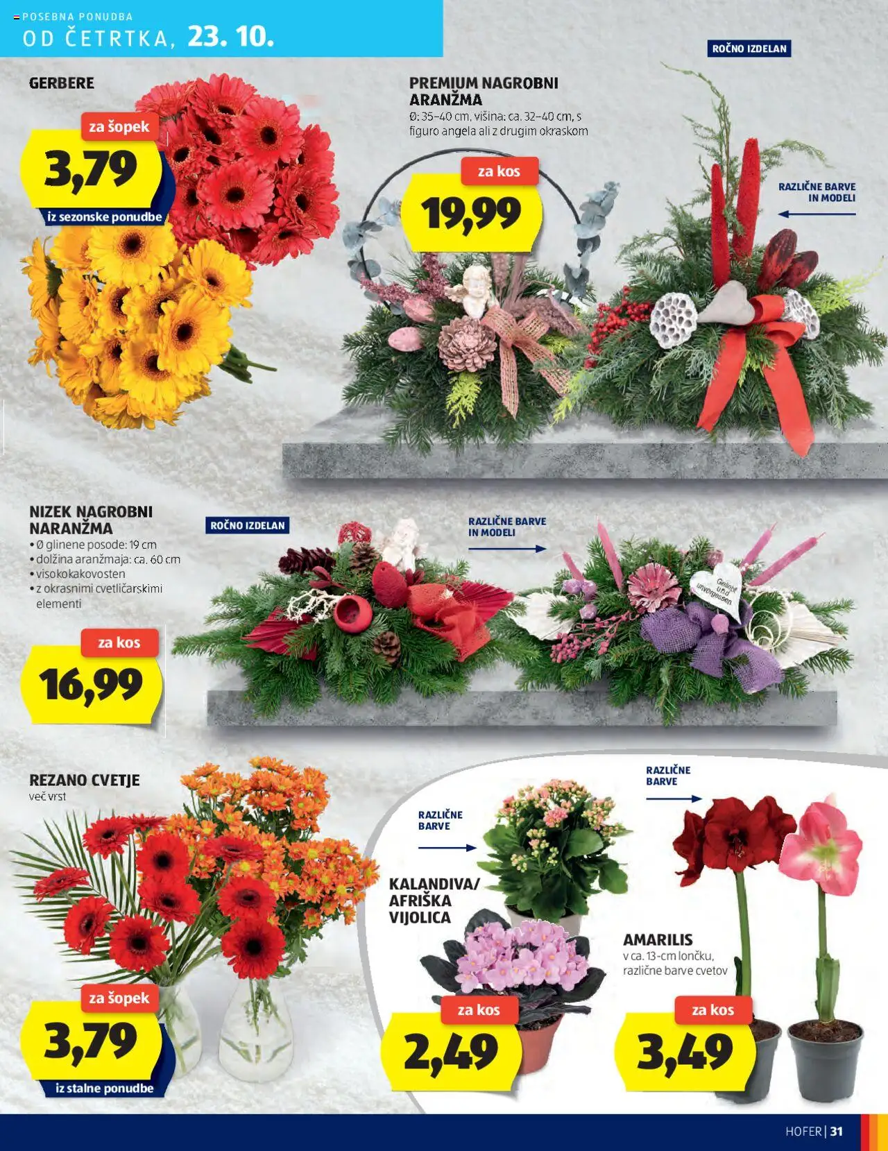 Novi Hofer katalog ponudbe – veljaven od 16.10.2025 | Stran: 31 | Izdelki: Cvetje, Šopek, Kos