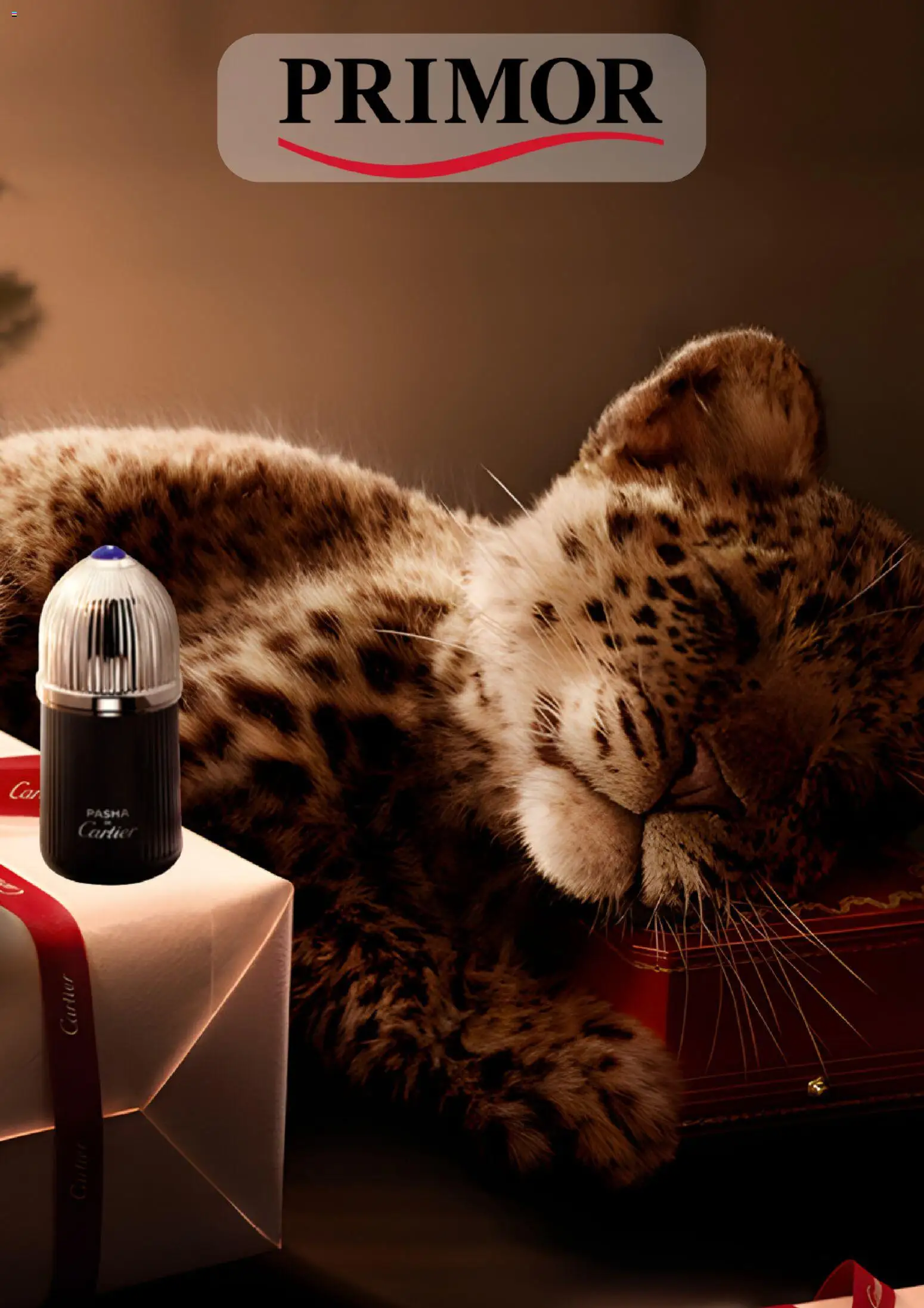 Primor folleto │ válido desde el 11.12.2025 | Página: 1