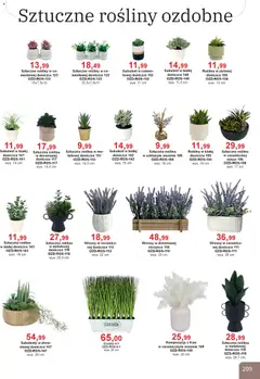 Pogląd oferty "Bodzio Katalog" - ważna od 01.01.2026 | Strona: 209 | Produkty: Rosliny