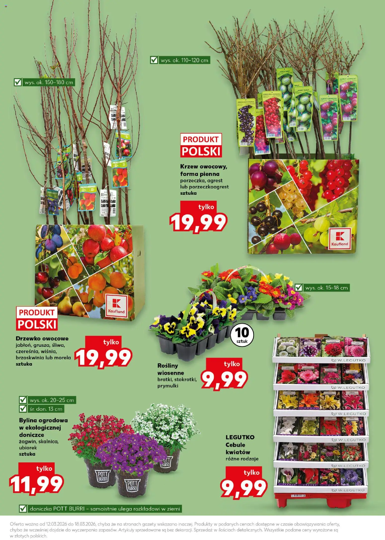 Kaufland Polsko leták - Wiosenne inspiracje od 12.03.2026 | Strana: 13 | Produkty: Forma