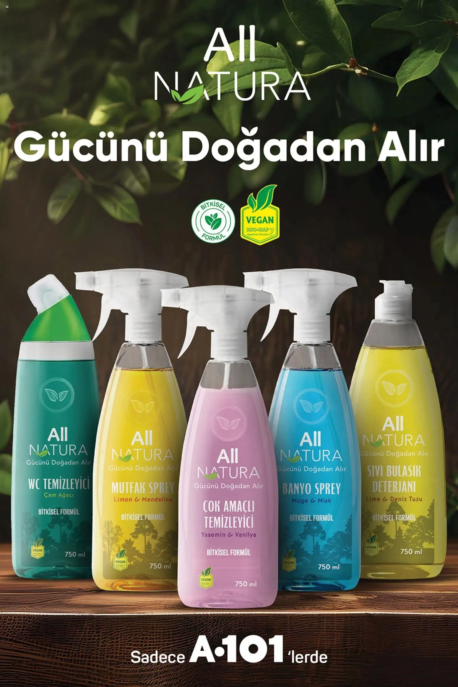 A101 Katalog Aldın Aldın - 08.01.2026 tarihinden itibaren geçerlidir | Sayfa: 4 | Ürünler: Banyo, Mandalina, Limon, Yasemin