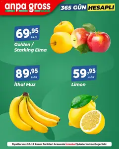12.11.2025 tarihinden itibaren geçerli olan Anpa Gross kataloğu önizlemesi