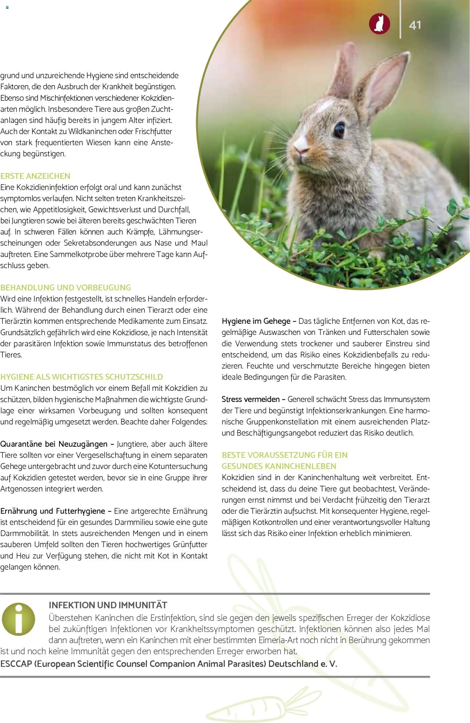 zookauf Prospekt 	 – gültig ab 01.02.2026 | Seite: 41 | Produkte: Kaninchen