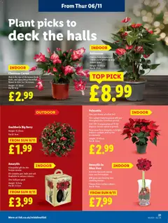 Preview of Lidl - Lidl Weekly valid from 06.11.2025 | Page: 23