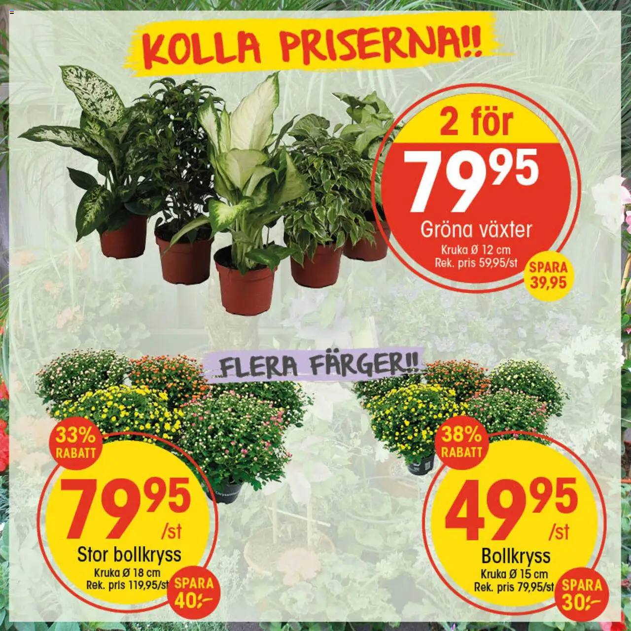 EKO reklamblad aktuell från 11.08.2025 | Sida: 1 | Produkter: Kruka