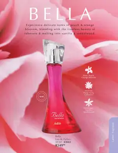 Justine specials catalogue – valid from 01.01.2026 | Page: 56